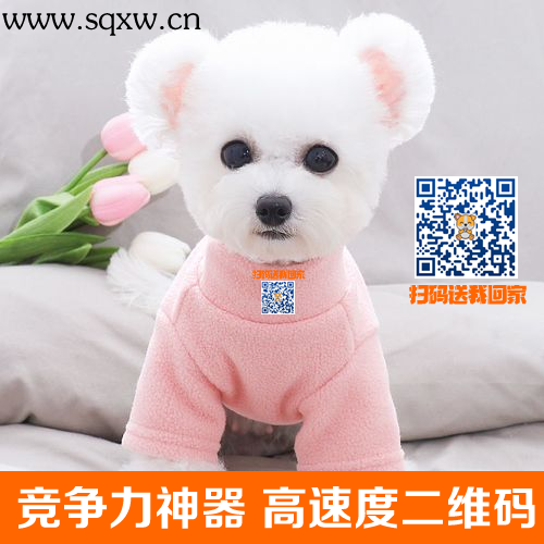 2d2092113f2fbb7.png
