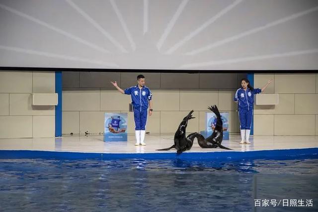 日照海洋馆