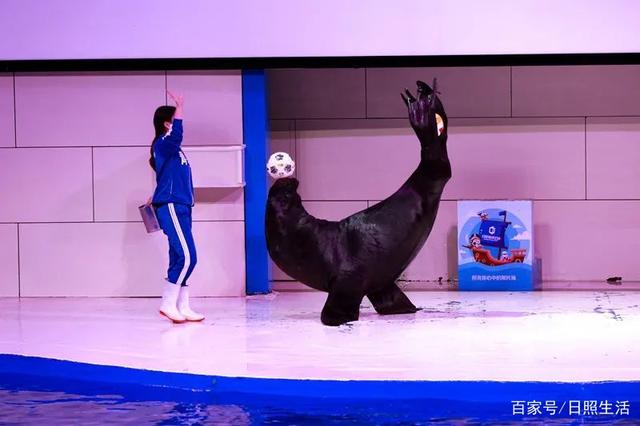 日照海洋馆