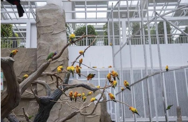 O1CN01K3d2cj22o4j2q3SwW_!!2385407166