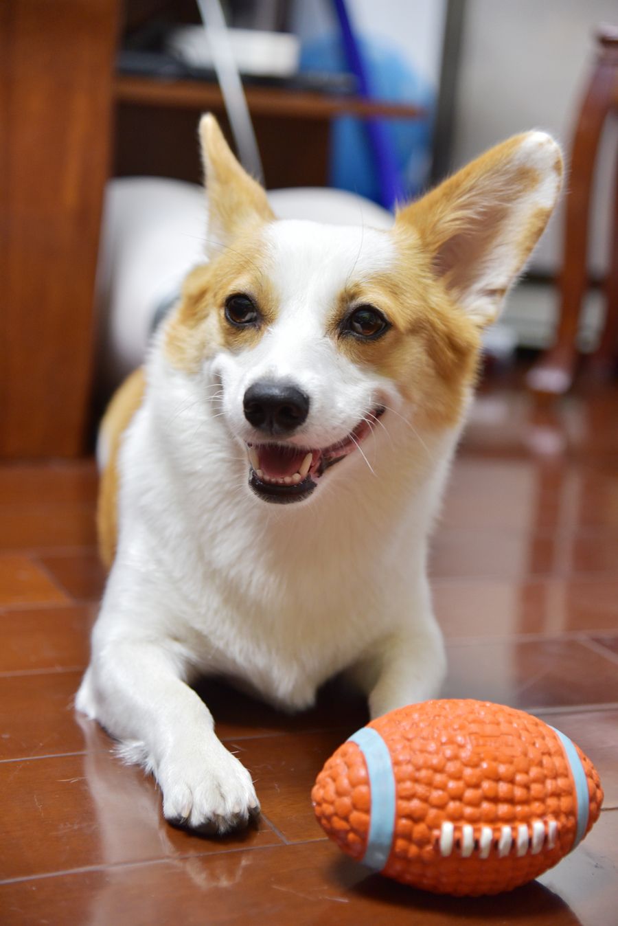 c0d79e0d1a587bb5831abceb68c5e86f